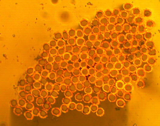 手慢无!一批特价镀金属纤维丝现货直供,数量有限